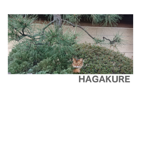 Bf8bec52 535b 4931 b606 0eb7d664e0da s