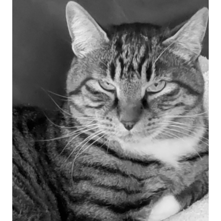 8c17a7c8 e2fa 44c5 b41f c7407508bd7d s