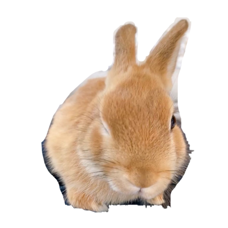 888ba44e 480d 4678 b3aa f6d5bea35e86 s