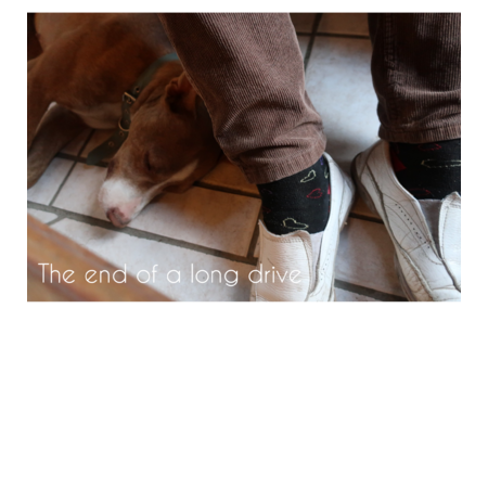 3266d1e8 e6a6 407f 8335 949179f84ea1 s