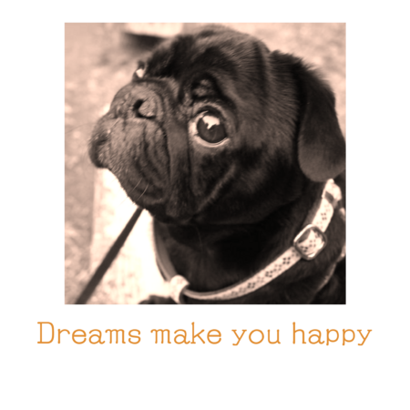 61be2696 d24d 4714 a240 5b2e235d436a s