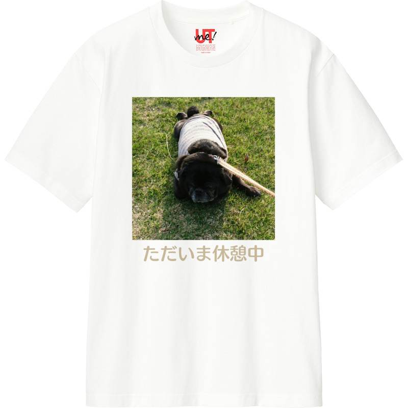 2d0e64e7 3259 4798 98be 19d0ead2a0d4 110 print ll