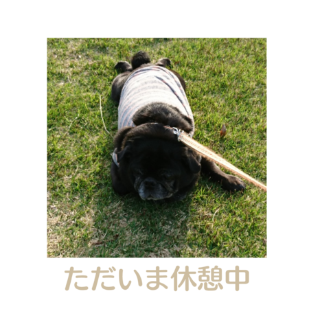 2d0e64e7 3259 4798 98be 19d0ead2a0d4 s