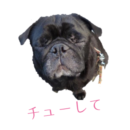 E789bd32 8d15 4876 b165 031042391878 s