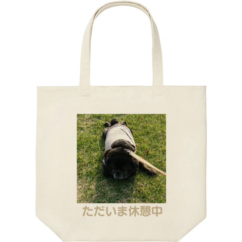 E6d1a4fe 4721 4caf 9f40 845f05f2b7d3 9 print ll