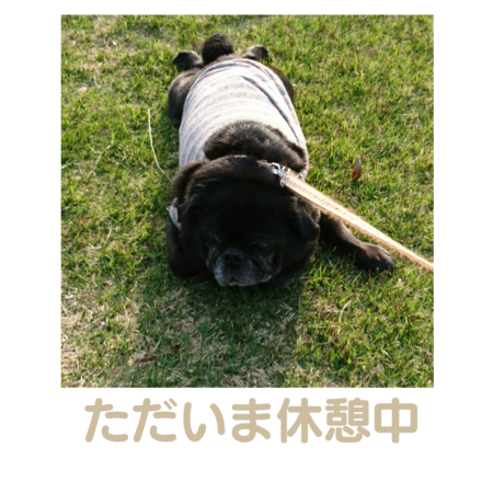 E6d1a4fe 4721 4caf 9f40 845f05f2b7d3 s