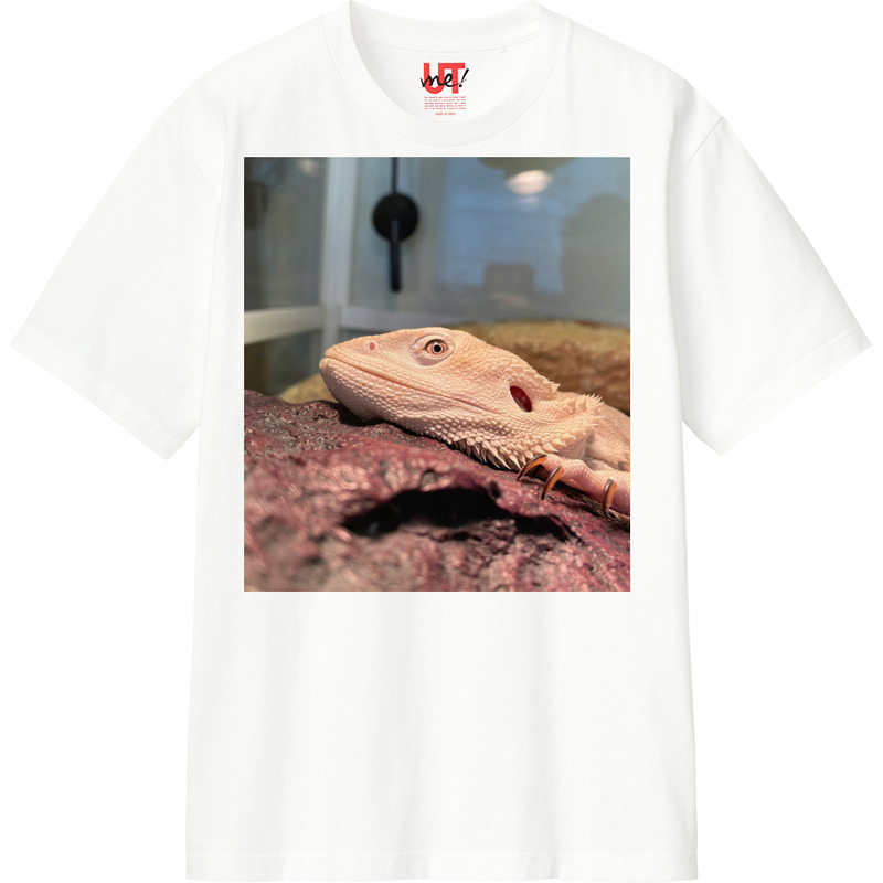 9ce942d0 a6a8 46c2 be6d b1ff6bf2c808 110 print ll