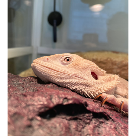 9ce942d0 a6a8 46c2 be6d b1ff6bf2c808 s