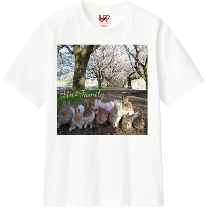 00237245 9e1d 4e5f a8e8 37189e5bee5b 110 print ll