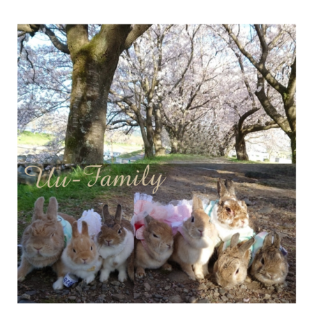 00237245 9e1d 4e5f a8e8 37189e5bee5b s