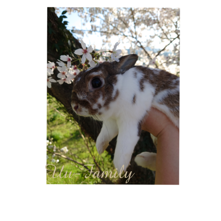 A18eef69 e68d 44cd 8e6a f0435fb5e96d s