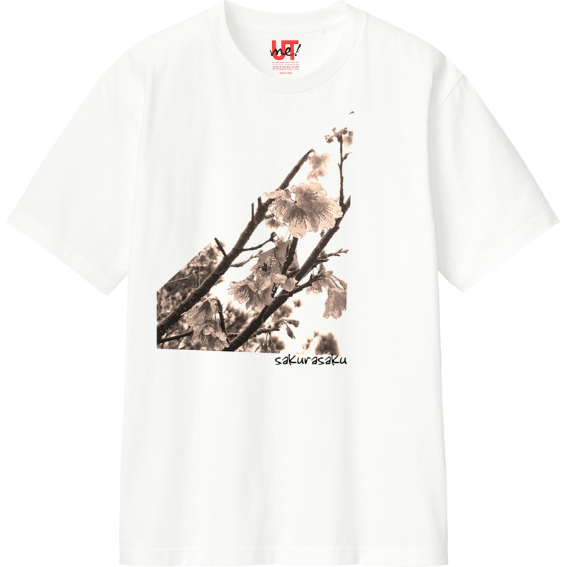 A9d27fe5 eedf 4abe 9900 1cd339839c9b 110 print ll