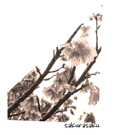 A9d27fe5 eedf 4abe 9900 1cd339839c9b s