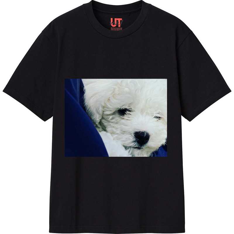 3e2a0a7d 1493 487e 9bca 3342b39947ba 111 print ll