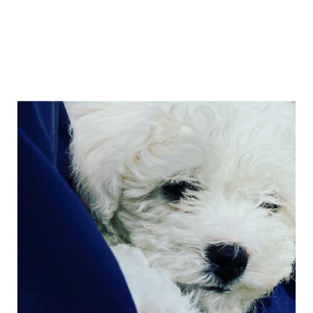 3e2a0a7d 1493 487e 9bca 3342b39947ba s