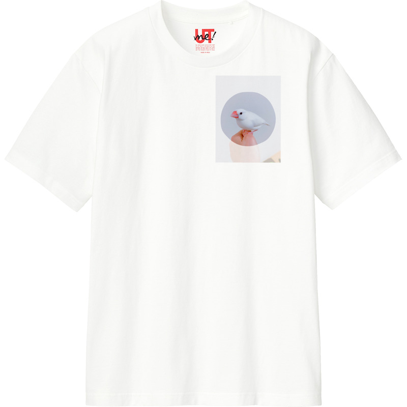 17c0a311 0aca 4bdf ab97 bb81bbdced7a 110 print ll