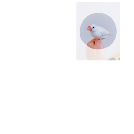 17c0a311 0aca 4bdf ab97 bb81bbdced7a s