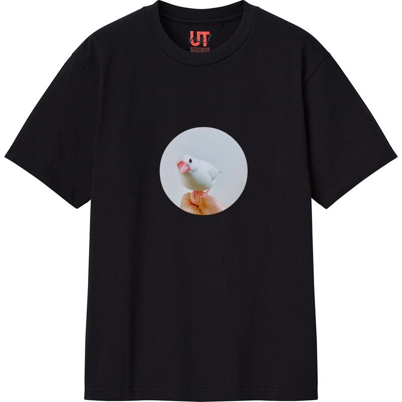 Bcedee7e 294f 4b6c 8432 094dbe2f93e2 111 print ll