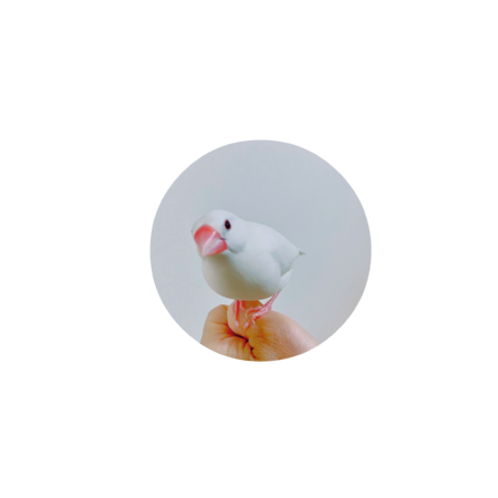 Bcedee7e 294f 4b6c 8432 094dbe2f93e2 s