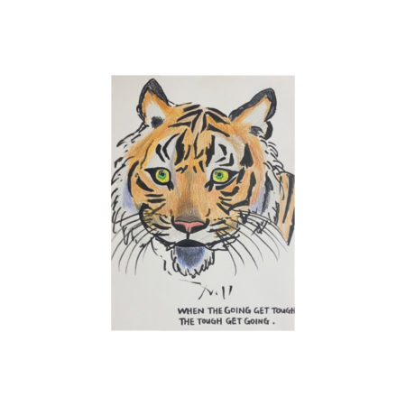 3b3dadd6 c0be 49f1 9afe b171331e99fa s