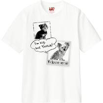 550d0622 1a09 4887 862b 46d6a1ce6e3a 110 print s