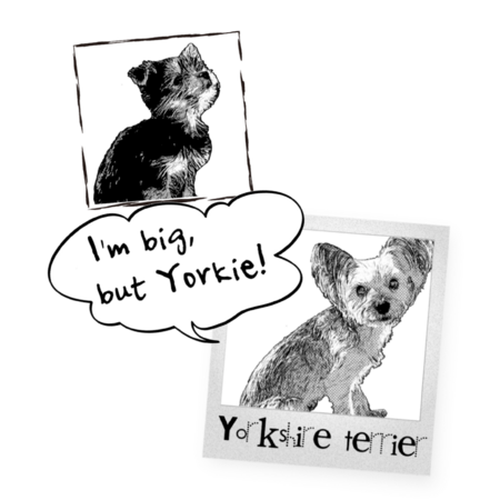 550d0622 1a09 4887 862b 46d6a1ce6e3a s