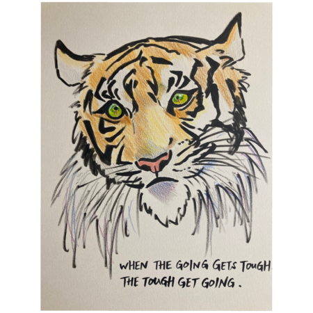 3ff72527 dffb 4004 b9c3 ad165c87fcaa s