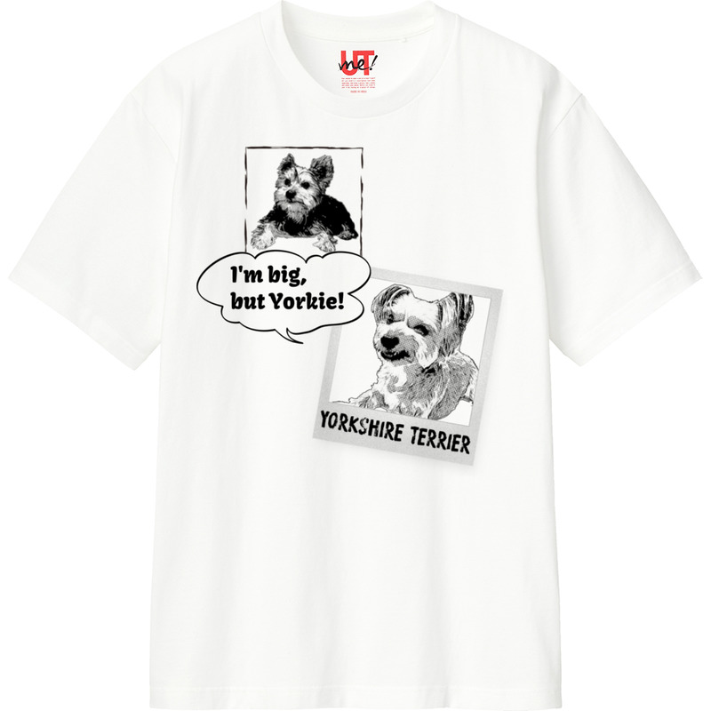 D02c2bdb 1abc 4464 870e 623df0ba701f 110 print ll