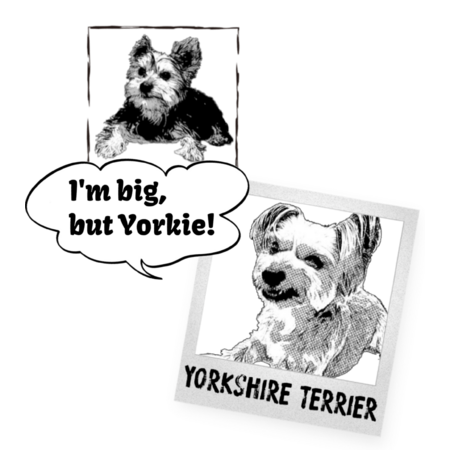 D02c2bdb 1abc 4464 870e 623df0ba701f s