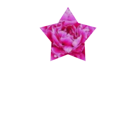 A4632663 c11b 4acd 95ec 371bb787530d s