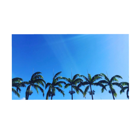 1891ae01 2f74 4dfc bd96 7becb3d2c1a1 s