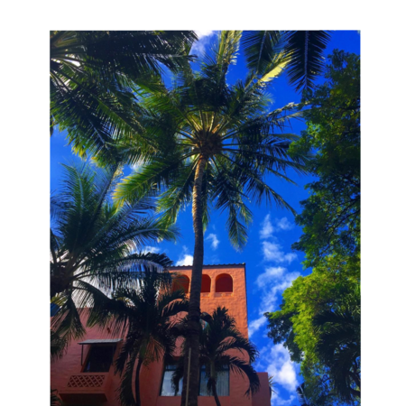 E9002e23 6286 4f42 8be6 73f23622f1c3 s