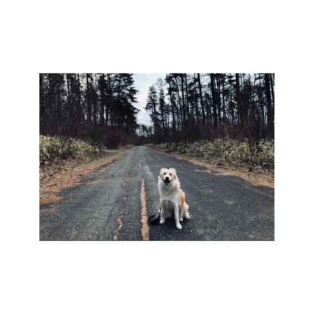 A0030d22 648a 42ed b287 8b60d3a7041a s