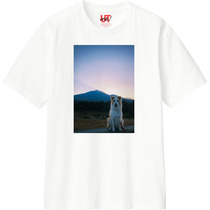 1d19fe06 1e3b 44db 969b 41258e4877c7 110 print s