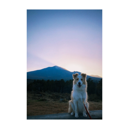 1d19fe06 1e3b 44db 969b 41258e4877c7 s