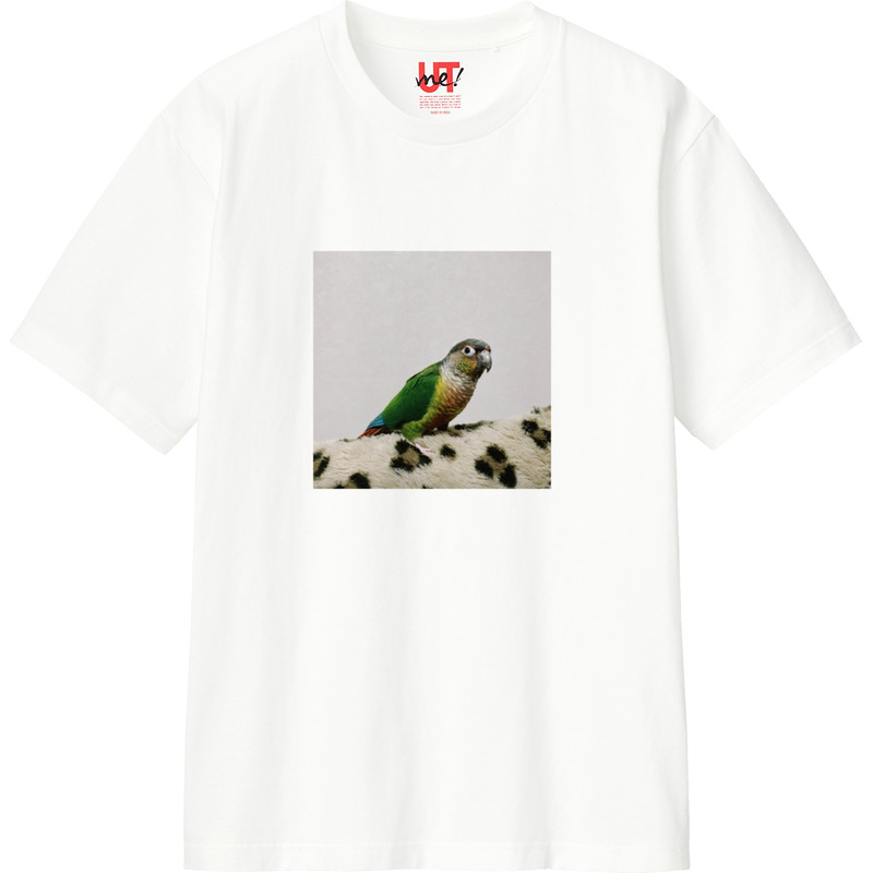 31d26678 2825 4ba9 822d 631858676f28 110 print ll