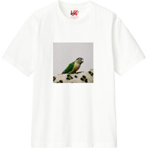 31d26678 2825 4ba9 822d 631858676f28 110 print s