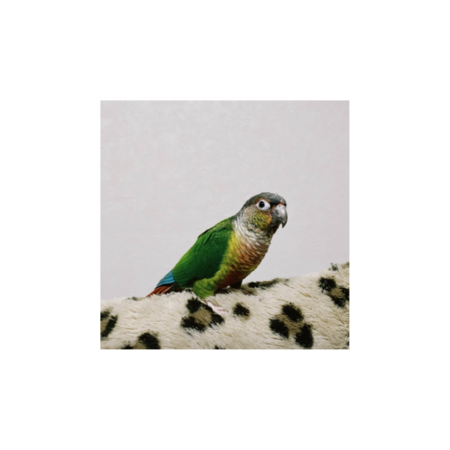 31d26678 2825 4ba9 822d 631858676f28 s