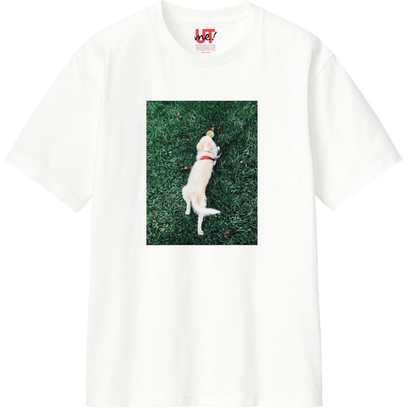 8a0b8a4b 0d5a 4ae9 8ce9 f3658febffc9 110 print ll