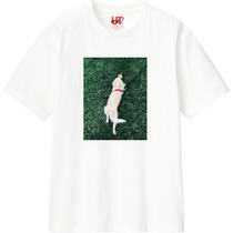 8a0b8a4b 0d5a 4ae9 8ce9 f3658febffc9 110 print s