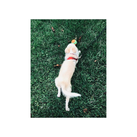 8a0b8a4b 0d5a 4ae9 8ce9 f3658febffc9 s