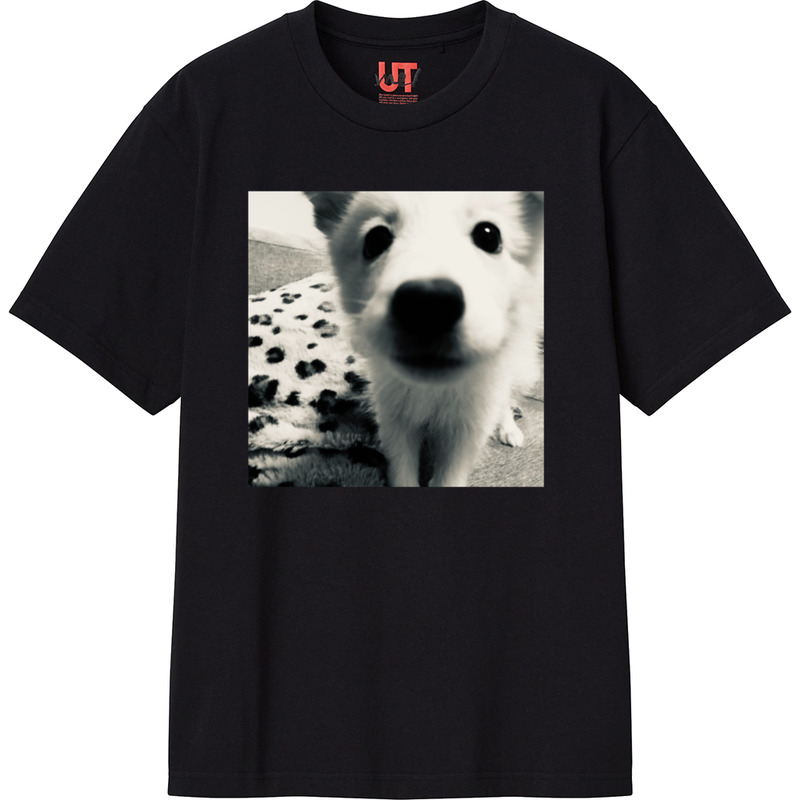 9e7ee78b ff3b 4df6 bdb7 e0f830343a91 111 print ll