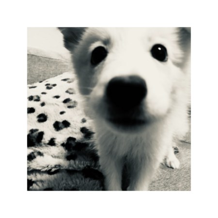 9e7ee78b ff3b 4df6 bdb7 e0f830343a91 s