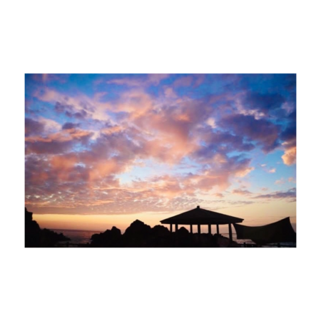 1809a119 45f8 4336 8090 2d1c4ec96421 s