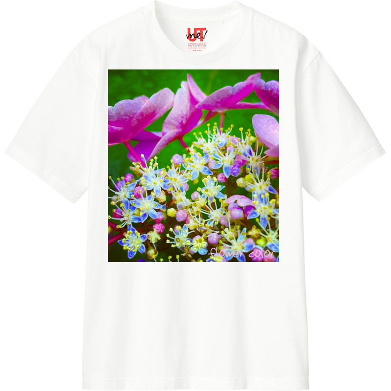 90c447f6 b9d9 4ee4 a50f 588ef22e88d4 110 print ll