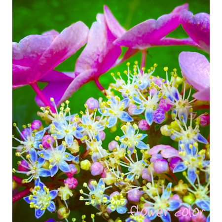 90c447f6 b9d9 4ee4 a50f 588ef22e88d4 s