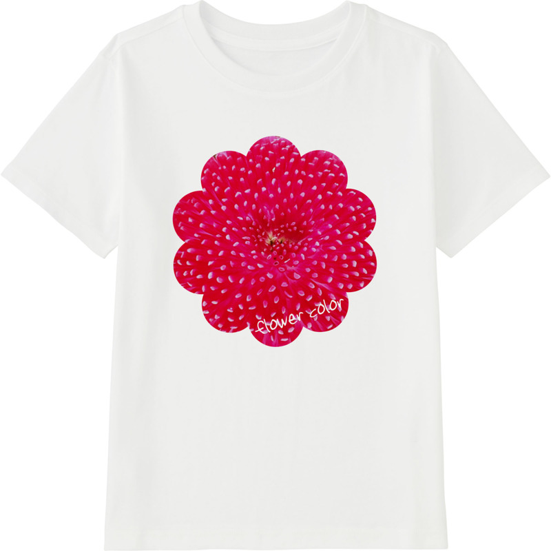 24cbc798 7c5e 436a a07e 5fad8ef2bfc2 45 print ll