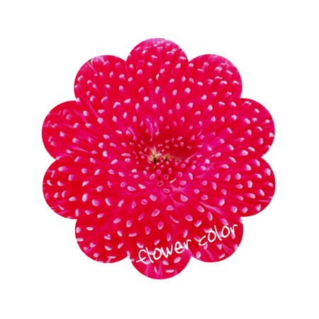 24cbc798 7c5e 436a a07e 5fad8ef2bfc2 s