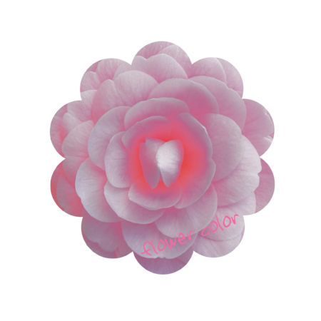 30a3d4ef a37c 4859 bf8d 412881ec466f s