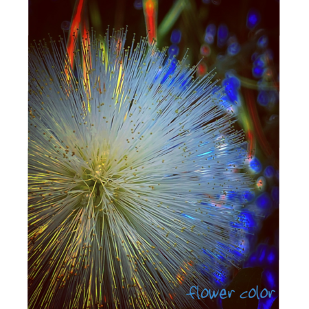 E69a9cb8 8684 4fa7 86a0 e19e431c923f s